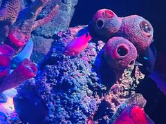 -沈阳海洋探索中心