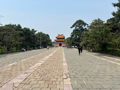 -北陵公园