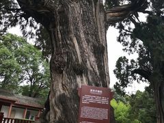 -黄帝陵