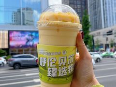 -茉酸奶(春熙路店)