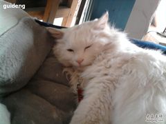 -Babycat私家御饼屋(龙头路一店)