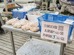 -烟墩角天鹅湖