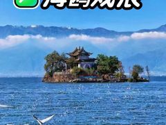 -小普陀