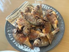 -大连蚂蚁岛度假区