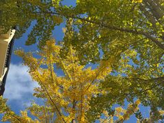 -洛阳白云山景区