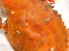 -北塘海鲜·天津菜(大光明桥旗舰店)