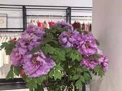 -春竹·微奥莱(北京西路店)