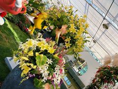 -上海鲜花港