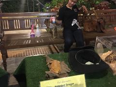 -清迈夜间动物园