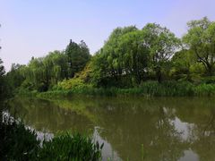 -新江湾城公园