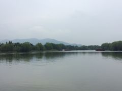 -长兴太湖图影湿地文化园