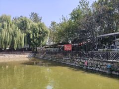 -尚庄度假村·庭台树下·户外烧烤·团建CS·轰趴营地(上庄水库店)