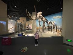 -国家自然博物馆