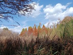 -捞渔河湿地公园