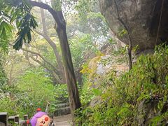 -广州市帽峰山景区