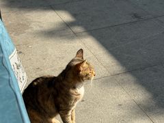 -昆承湖酒家·本帮农家菜