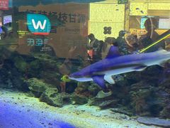 -凯德广场(学府店)