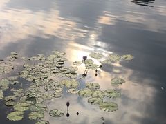 -牛岗山公园