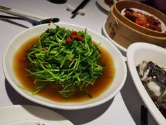 松茸豆苗-丰收日(五角场店)