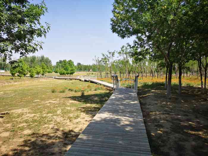 东石公园-"最近正好在核酸检测,正好在公园里边转了一.