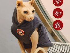 -BABIT巴比特宠物(MOMOPARK店)