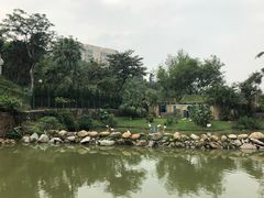 -石排湾郊野公园