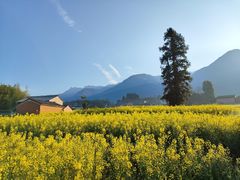 -三圣花乡旅游区