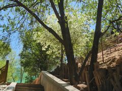 -青藏高原野生动物园