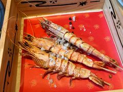 -月龍吟(朝龙汇店)