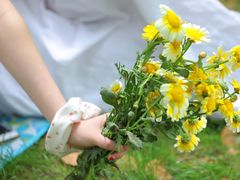 -春花秋色城市公园