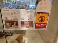 -屋虎猫馆(宝安大仟里店)