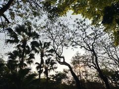 -人民公园(罗湖区)