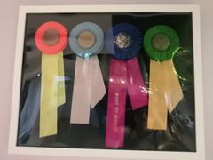 -Husky Go! 哈士奇体验馆·宠物咖啡厅狗咖