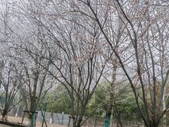 -南昌青山湖风景区