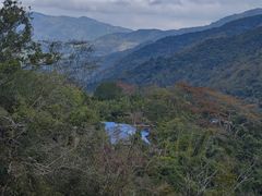 -海南霸王岭国家森林公园