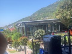 -蘇河湾·新鲁菜·泰山宴(泰山店)