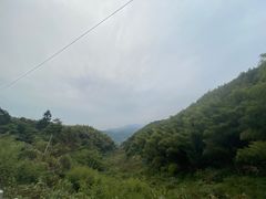-长沙黑麋峰国家森林公园