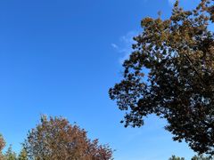 -上方山森林动物世界