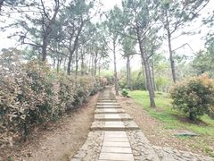 -缥缈峰景区