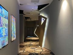 -星河寰宇IMAX影城(星河WORLD·COCO Park店)