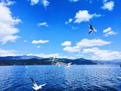 -丽江泸沽湖景区
