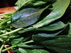菠菜-湊湊火锅·茶憩(上海合生汇店)