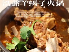 -浩爷羊蝎子火锅(望京店)