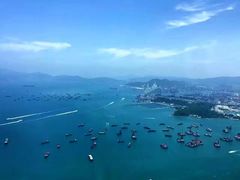 -天龙轩(香港丽思卡尔顿酒店)