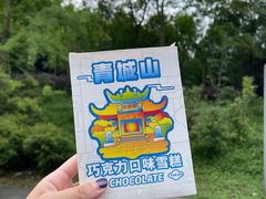 -都江堰中华大熊猫苑