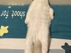 -蜀辣居鲜货老火锅(万象城店)