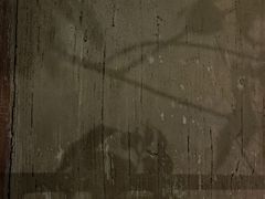 -天门沟九州驿站树上汤泉