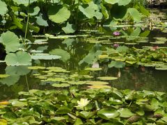 -国家植物园南园