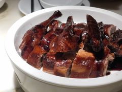 -佬肥猫(国华广场店)
