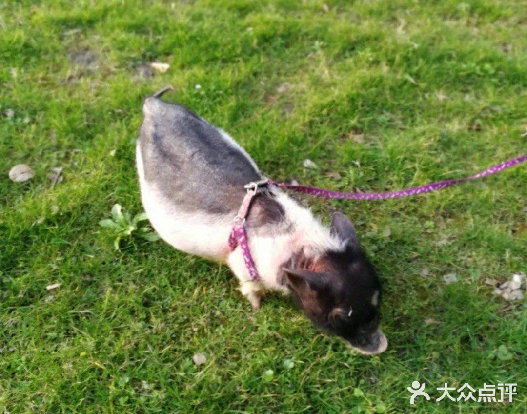 拯救不开心[亲亲]→佘山茂御开心农场[糖果]